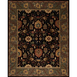 Mahal Hand Knotted Wool Area Rug
