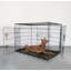 Caisse pour animaux Cecere-14189804
