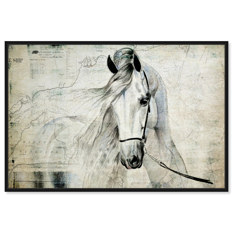 Antiqus Equus - Reproduction d'art graphique sur toile tendue, Cadre noir, H 15 po x l 10 po