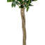 150cm Faux Plant in Cement Pot