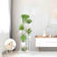 Plant Stand-492472415