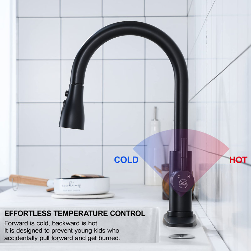 Single Handle Pull Down Sprayer Kitchen Faucet High Arc Stainless Steel Faucet with 3-Function Sprayer, Matte Black