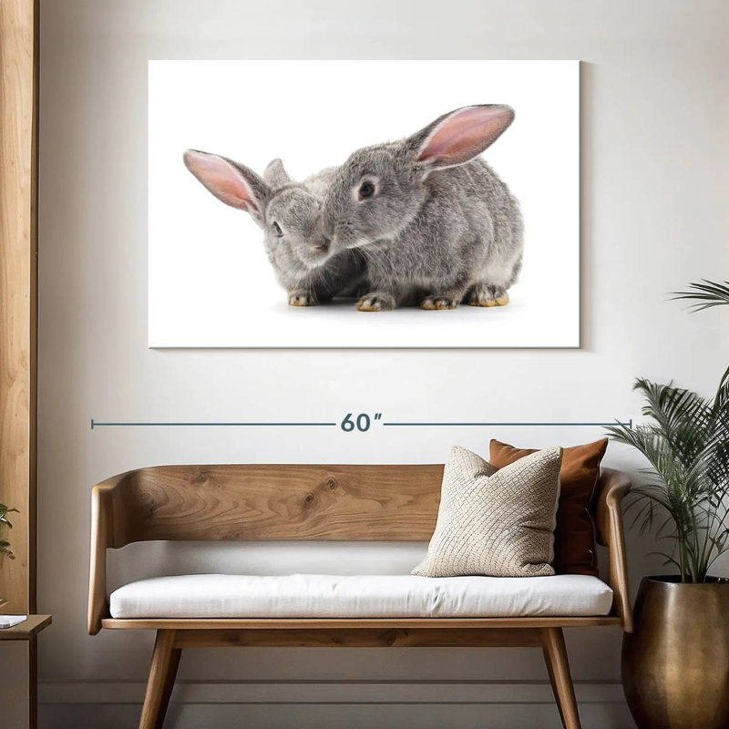 Deux bébés lapins