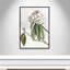 «Pearly Beauty II» par Eva Watts-129313449-129313462-129313491