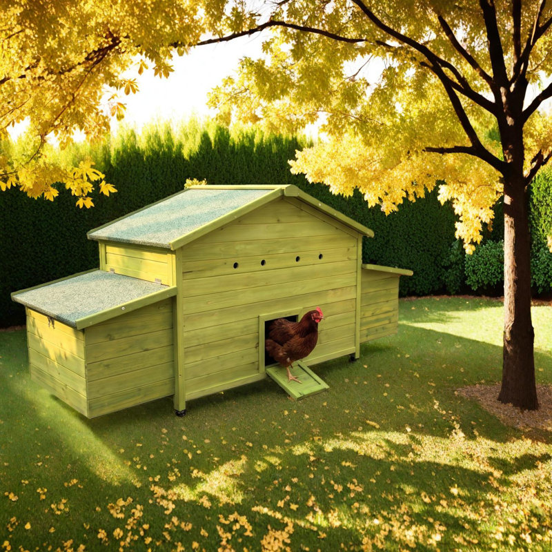 Poulailler en bois de 70 pouces avec 2 nichoirs, toit imperméable, plateau coulissant, rampe et portes verrouillables