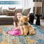 Machine Braided Area Rug-760738253