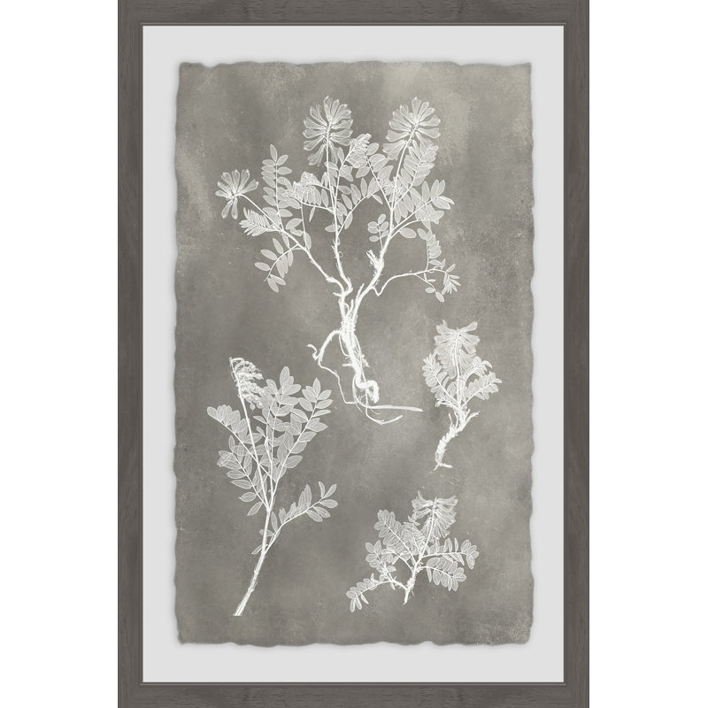 «Herbarium Study III», reproduction d'art encadrée, H 18 po x l 12 po x P 1,5 po