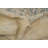 Vegetable Dye Traditional Area Rug 7x10