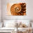 Aletra Nautilus Shell Inside-107680919
