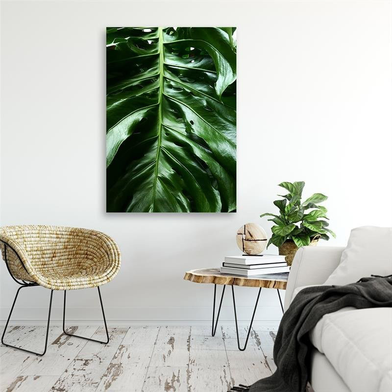 Leinwandbild Monstera Leaf Nature Tropical