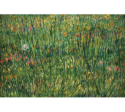 "patch of grass" par vincent van gogh-impression