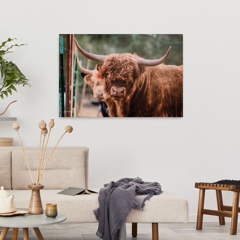 «The Bull», art contemporain abstrait, H 24 po x l 36 po