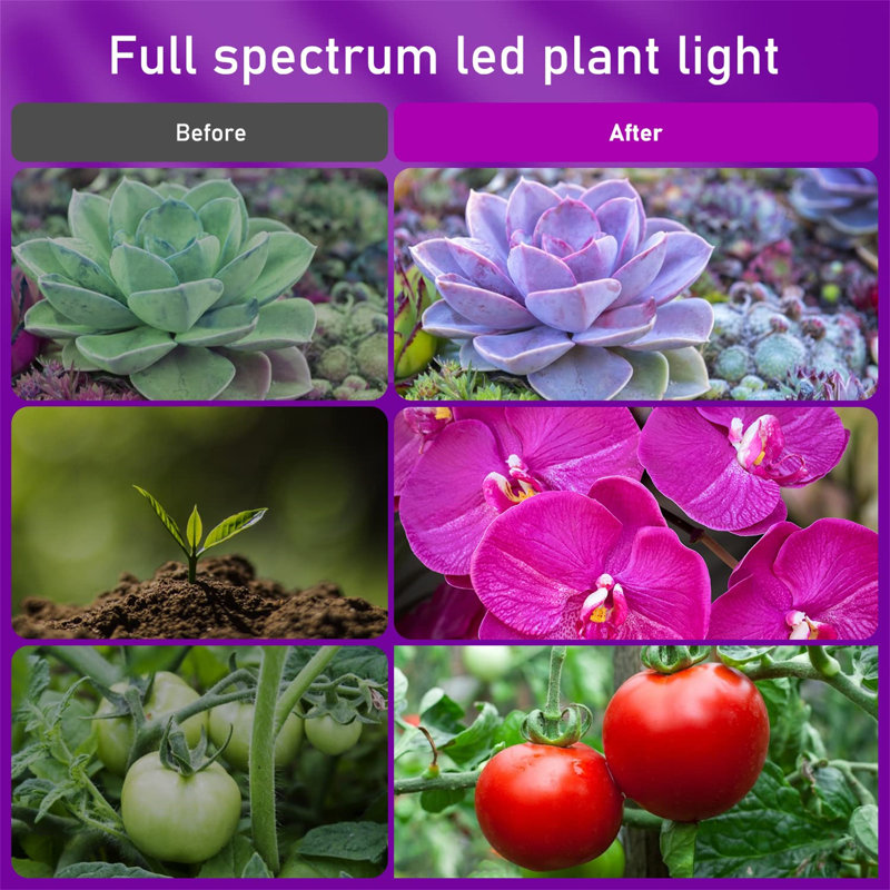 Maker Network Grow Light