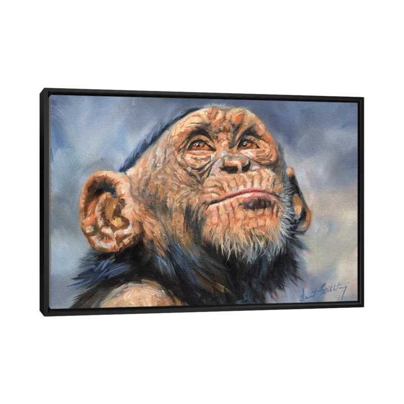 « chimp », impression sur toile, H 18 po x l 26 po x P 1,5 po, Toile avec cadre noir, Pas de tapis