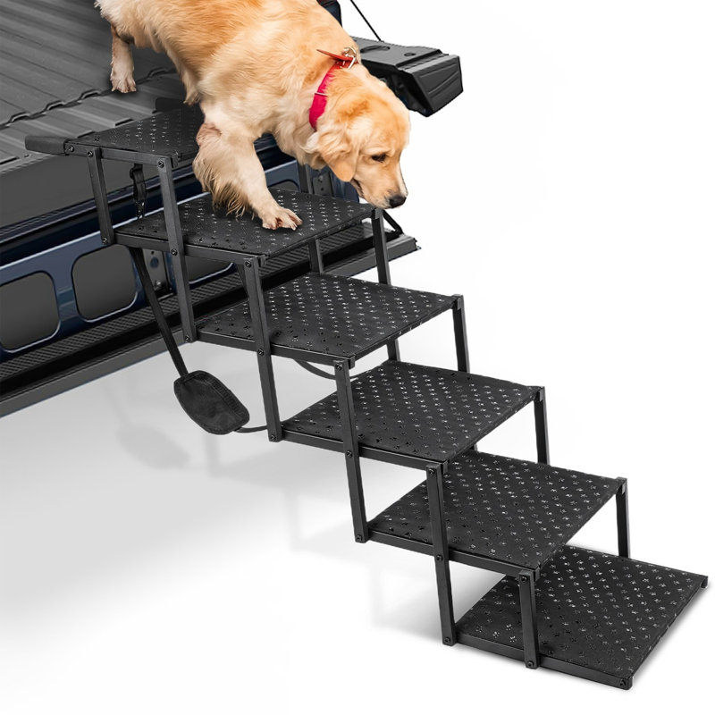 Rampe pour chien pliable portable pour grands chiens 5 marches