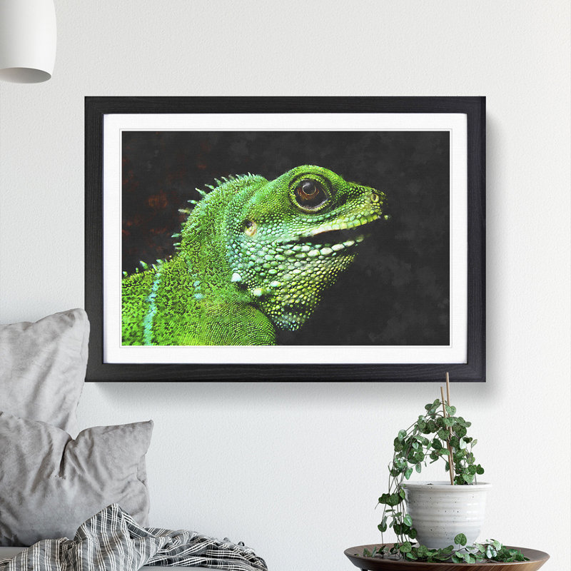 Iguana Lizard - Picture Frame Graphic Art, 27cm H x 36cm W x 2cm D, Black Framed
