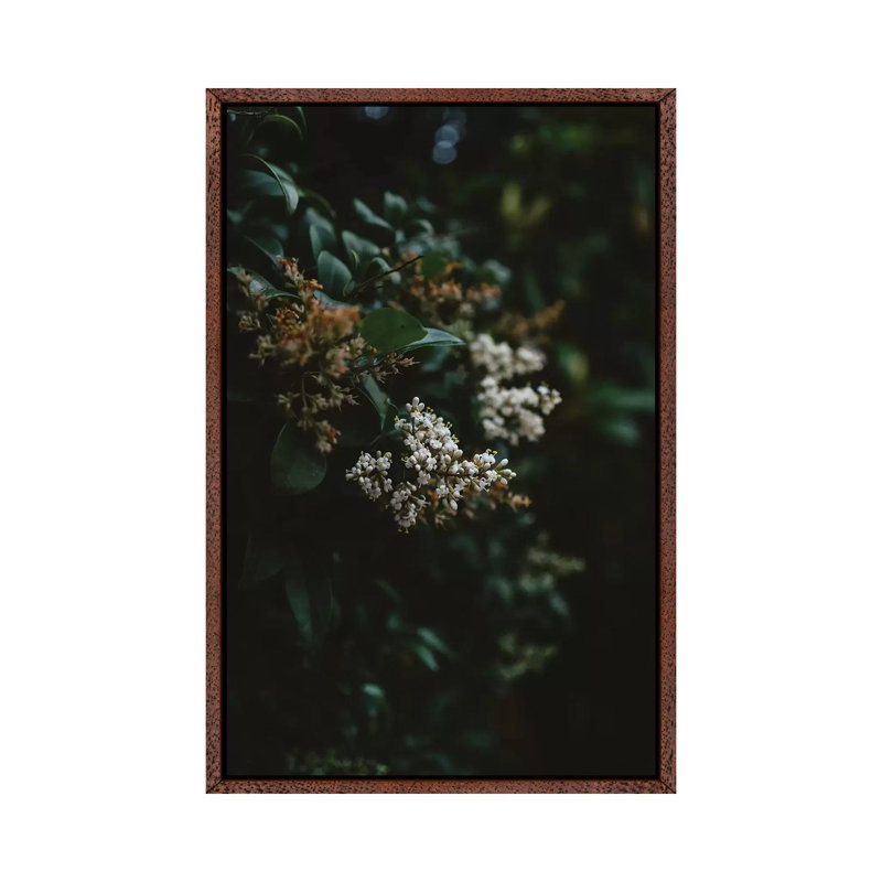 Washington Blooms by Bethany Young - Print on Canvas, 152.4cm H x 101.6cm W x 3.81cm D, Classic Brown Wood Framed