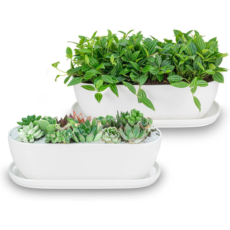 Ensemble de 2 pots à fleurs en céramique (11 "et 14") avec drainage