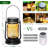10'' Solar Powered Integrated LED Outdoor Lantern