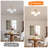 5-light Flush Mount Ceiling Light Hallway Light Fixtures Semi Flush Mount Chandelier