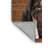 Washable Minskin Cats Area Rug-1536720908