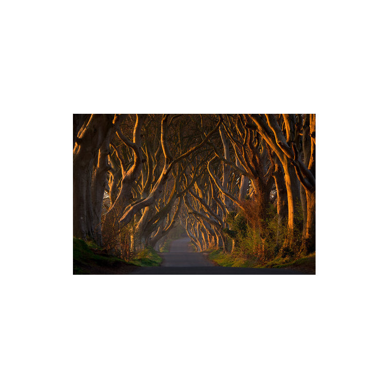 Wrapped Canvas Print, 50.8 cm H x 76.2 cm W