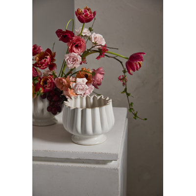 Tulipe compote