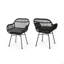 Chaises en faux rotin avec coussins Rodney (ensemble de 2)-815164405-815164404