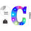 Charrisse 22 cm H LED Sign