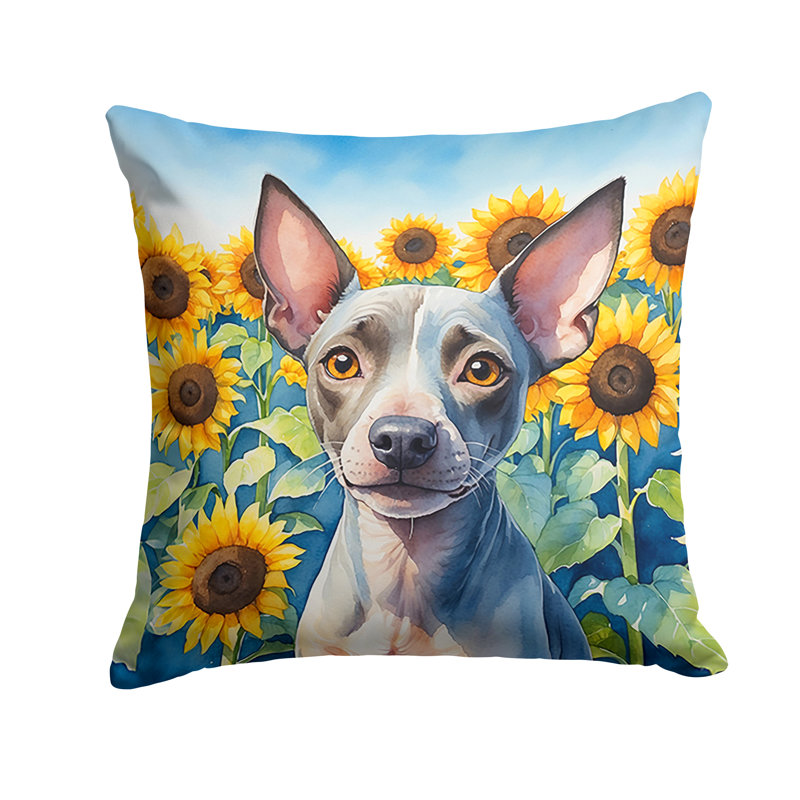 Other/No Pattern Reversible Throw Pillow, 18"H x 18"W