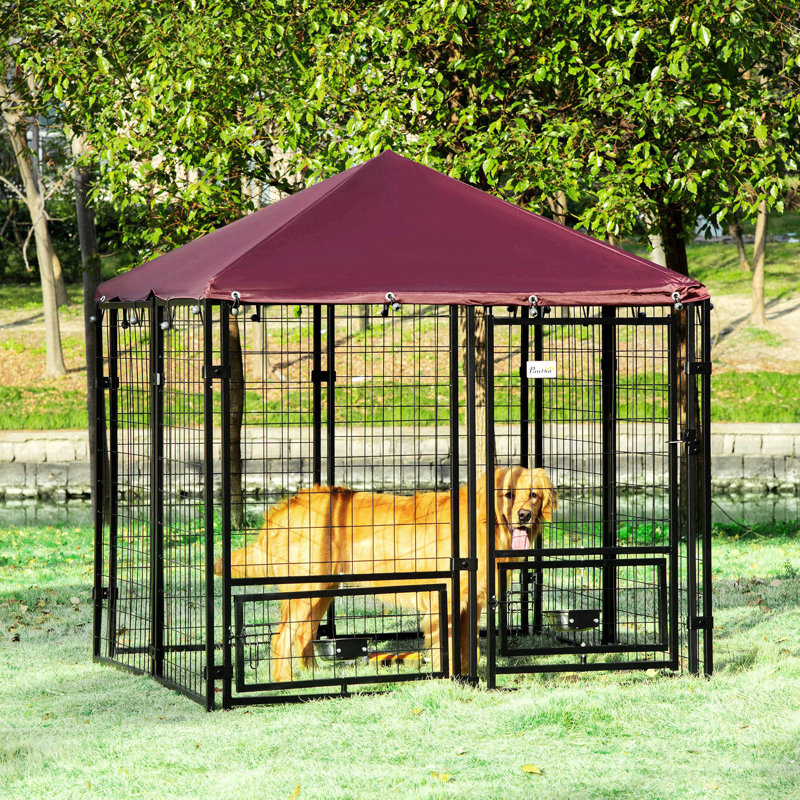 Chenil d'extérieur pour chien 5 'X 5' X 5 '