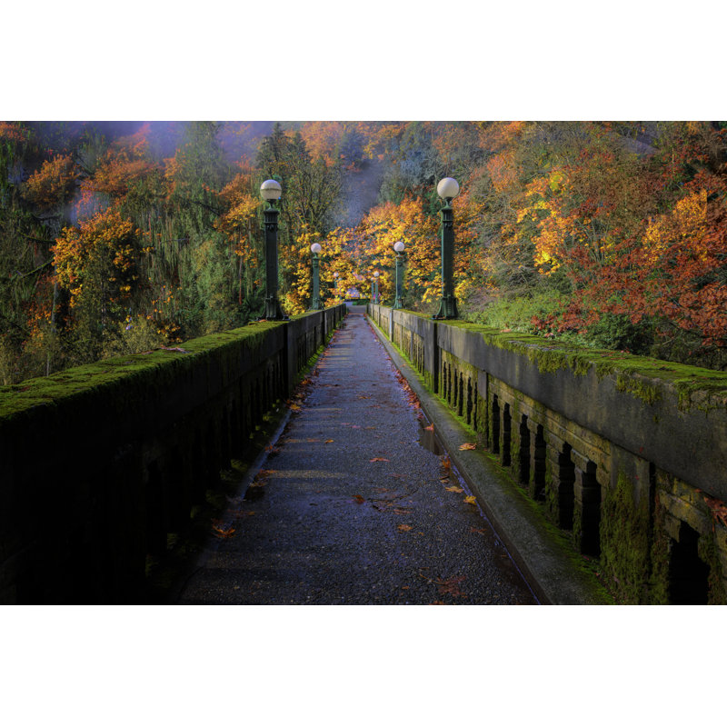 Fall Foliage - Photographie sur toile tendue, H 20 po x l 30 po