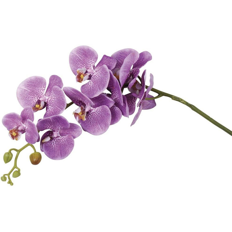 Tige d'orchidée, Blanc, H 41 po x l 6 po x P 15 po