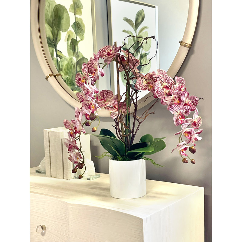 Modern Orchid Arrangement in Round Fiberstone Pot, Pink