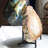 Crescantia Crystal