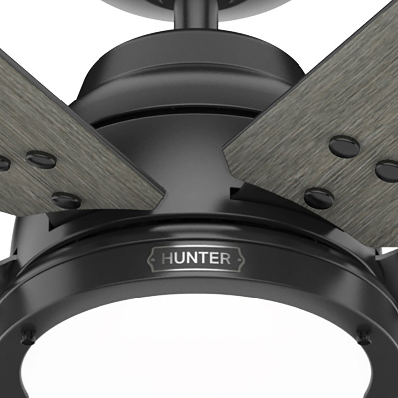 Gravity 6 - Blade Ceiling Fan with LED Light Kit and Handheld Remote and Wifi Smart Fan, Dark Gray Oak, 72"