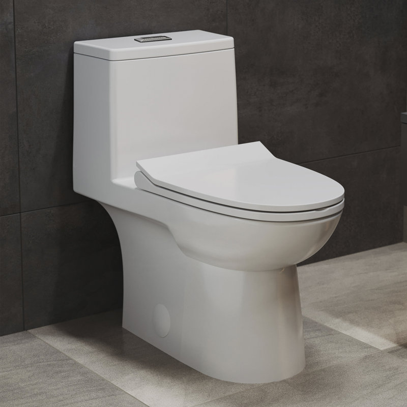 Daxton One Piece Elongated Dual Flush Toilet