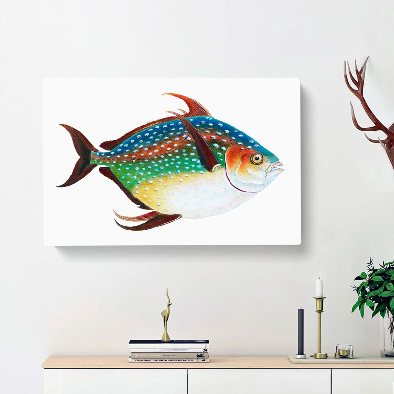 Opah Fish by Edward Donovan - Wrapped Canvas, 35cm H x 50cm W x 3cm D