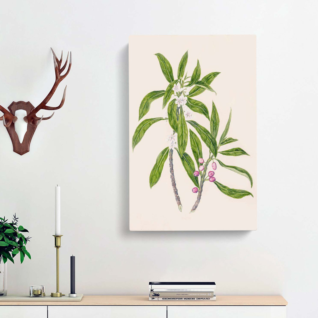 Ngaio Flowers by Sarah Featon - Wrapped Canvas