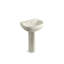 Wellworth Ceramic Pedestal Bathroom Sink with Overflow-1958769600-1903140507