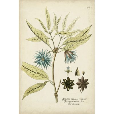 Éloquent botanique III