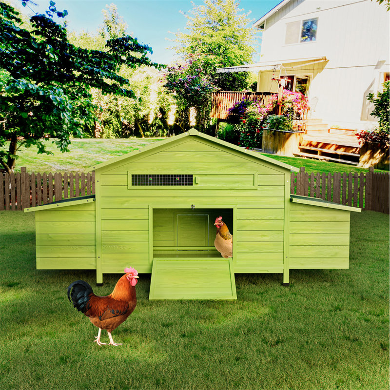 Grand poulailler en bois 11,12 pi² avec 2 portes en libre accès, Green