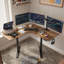 Bureau en L à hauteur ajustable Suzette-2101600395