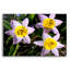 «Flowers Iii», art mural en verre acrylique-604829926
