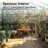 8 ft.W x 10 ft.D Walk-in Outdoor Greenhouse, Polycarbonate Garden House with Aluminum Frame, UV Protection, Roof Vent & Quick Install for Patio Backyard-106480406