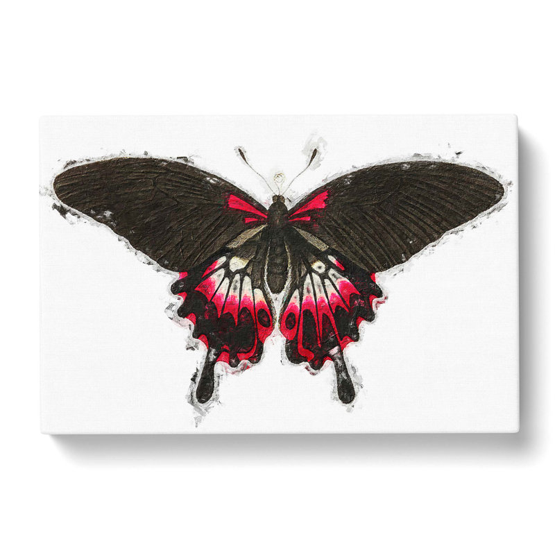 Swallow-Tailed Butterfly by George Shaw - Wrapped Canvas, 35cm H x 50cm W x 3cm D