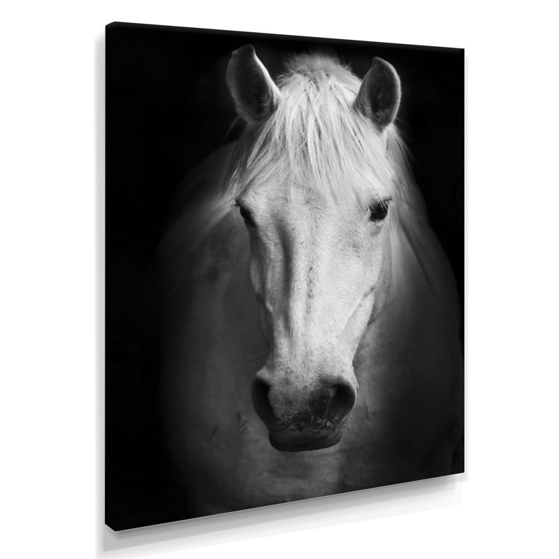 Cheval, reproduction d'art sur toile, cheval noir et blanc, H 32 po x l 24 po, Toile tendue, Sans cadre