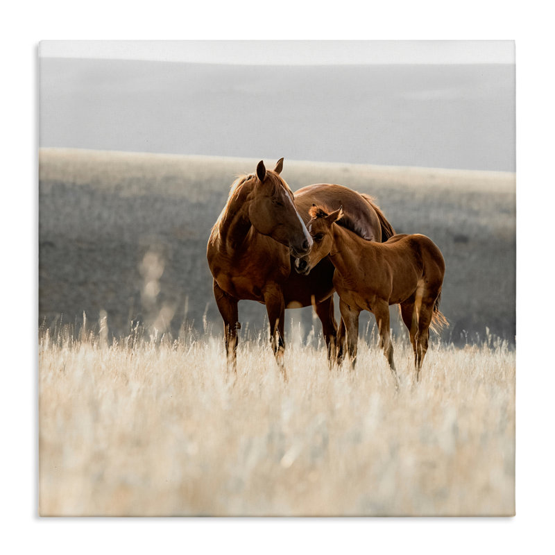 Toile de paysage Montana Mares, conception par Christy Berry, H 17 po x l 17 po