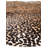 Square Ingalls Brown Rug
