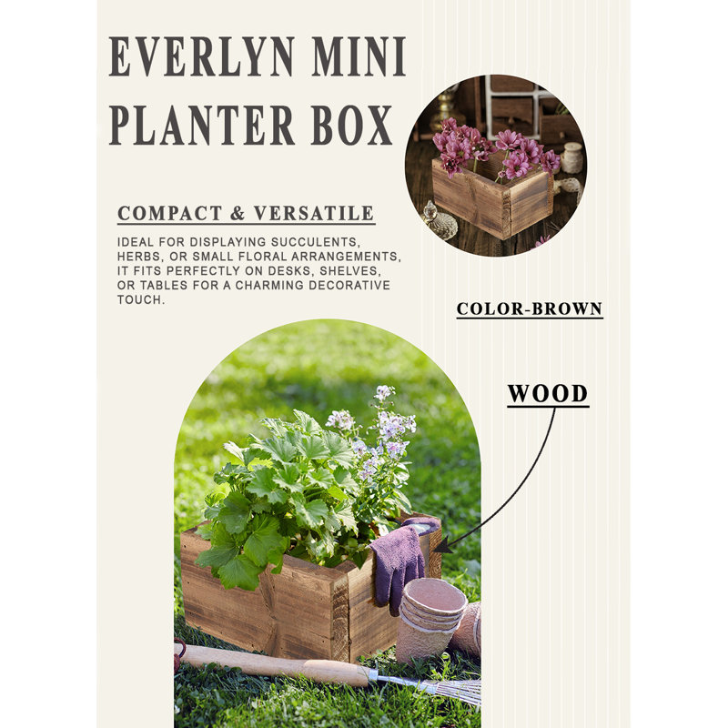 Mini boîte à fleurs Serene Spaces Living Everlyn - 7 po de long, 5 po de large, 3 po de haut